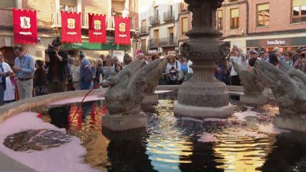 El vino ha comenzado a brotar de la Fuente de la Mora, en Cariñena. / Aragón TV