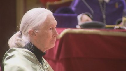Muere la primatóloga y etóloga Joan Goodall a los 91 años./ Aragón TV