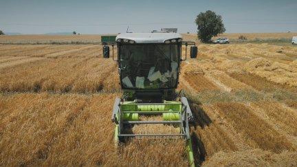 La cosecha de cereal de invierno alcanza los tres millones de toneladas en Aragón. / Aragón TV
