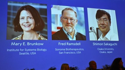 Imagen de los investigadores premiados. / EFE