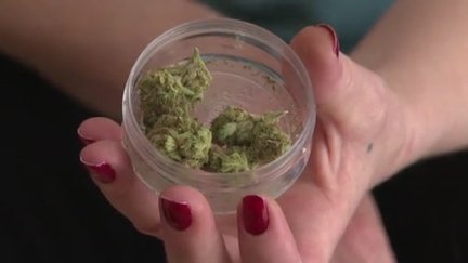 El cannabis podrá ser dispensado en los hospitales para tratamientos contra el dolor. / Aragón Tv
