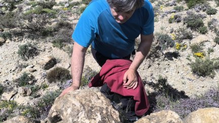 Una de las nuevas icnitas tridáctilas de un gran dinosaurio ornitópodo en Allepuz (Teruel). / Fundación Conjunto Paleontológico de Teruel-Dinópolis