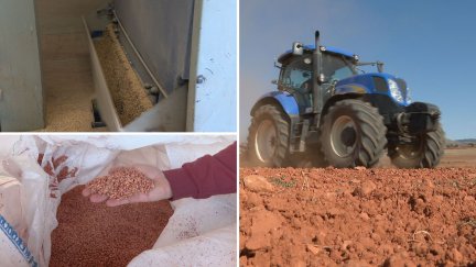 Los agricultores invertirán en la campaña de siembra hasta 500 euros por hectárea. / Aragón TV