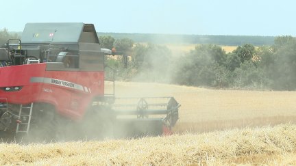 Los pagos anticipados de la PAC se hacen efectivos desde este viernes. / Aragón TV