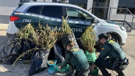 Agentes de la Guardia Civil tras recoger la marihuana. / Guardia Civil