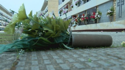 Florero vandalizado en Torrero. / Archivo