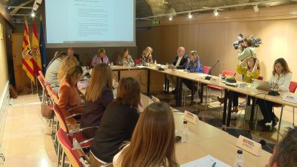 El pleno del Observatorio está presidido por la consejera Tomasa Hernández / Aragón TV