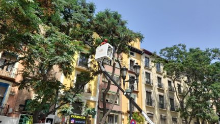 Zaragoza invertirá un millón de euros en la plantación de 2.000 árboles./ Europa Press