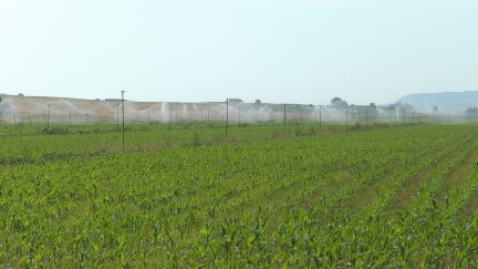 Campos de regadío. / Aragón TV