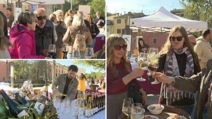 La ciudad oscense de Barbastro se ha sumado este domingo a la celebración del Día Mundial del Enoturismo. / Aragón TV