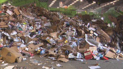 El Ayuntamiento de Zaragoza ha iniciado el proceso para licitar el nuevo contrato para la venta del papel y cartón. / Aragón TV
