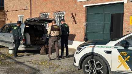 Los sacos con 340 kilos de nueces fueron devueltos a su propietario. | Guardia Civil