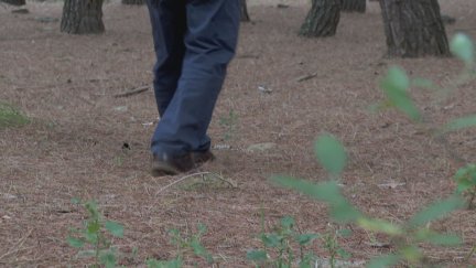 Un hombre ha sido localizado tras perderse mientras buscaba setas. / Aragón TV