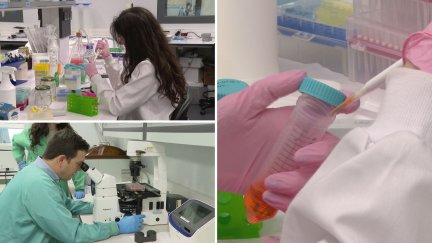 Laboratorios del Instituto de Investigación Sanitaria de Aragón. / Aragón TV