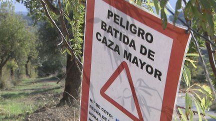 El decreto incentiva económicamente a los cotos por cada pieza abatida. / Archivo