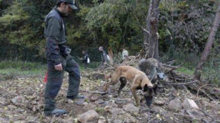 Agentes Rurales de Cataluña rastrean la zona donde se detectó el primer caso. / EFE/Marta Pérez