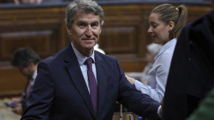 El presidente del PP, Alberto Núñez Feijóo, en el Congreso de los Diputados./ EFE/ Kiko Huesca