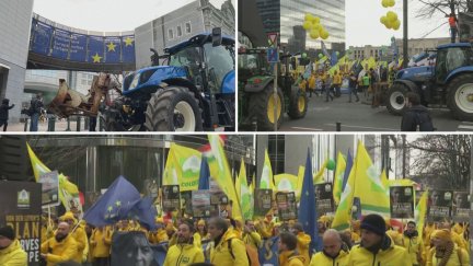 Manifestación de agricultores y ganadereos este jueves en Bruselas. / Aragón TV