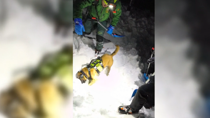 Especialistas del Greim con perro buscan al montañero sepultado. / Guardia Civil