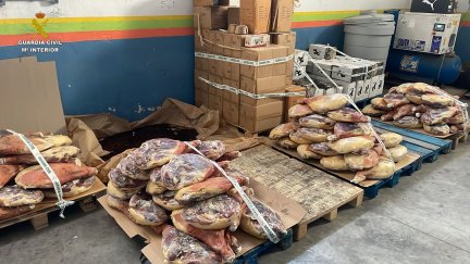 Algunos de los efectos robados y recuperados por la Guardia Civil. / Guardia Civil
