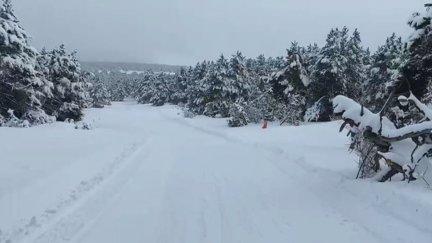 El Pirineo aragonés se mantiene en aviso amarillo por el riesgo de aludes. / Aragón TV