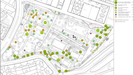 Plano de la plantación prevista / Ayuntamiento de Zaragoza