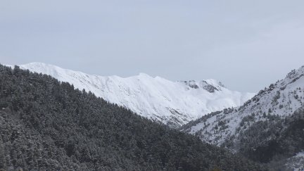 El Gobierno de Aragón recuerda que no se debe esquiar fuera de pista ni realizar esquí de montaña. / Aragón TV