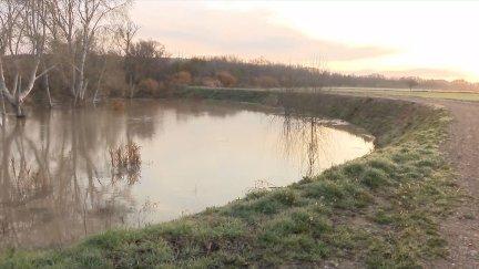 Una de las actuaciones llevadas a cabo dentro de la estrategia Ebro Resilience en el entorno de Zaragoza. / Aragón TV