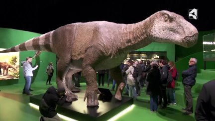 El Iguanodón Galvensis mide 9 metros de longitud. / Aragón TV