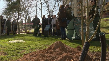 Este sábado se ha realizado una primera plantación simbólica de la mano de Salgar. / Aragón TV