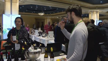 En esta feria hay representación de todas las Denominaciones de Origen de Aragón / Aragón TV