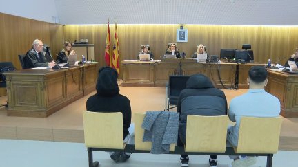 La 'manada' estaba compuesta por cinco menores y tres adultos. / Aragón TV