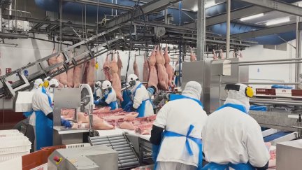 La agroindustria aragonesa afronta un 2026 con la inestabilidad geopolítica marcada por la guerra en Oriente Medio./ Aragón TV