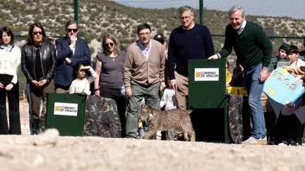 Windtail y Winx vienen desde Doñana y Portugal para repoblar la zona. / Gobierno de Aragón