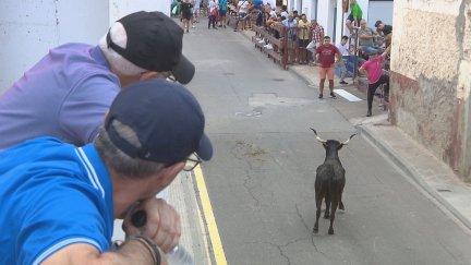 Aragón emite una nueva instrucción para garantizar la seguridad en los festejos taurinos. / Aragón TV