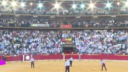 La Plaza de Toros de La Misericordia durante el último festejo del Pilar. / Aragón TV