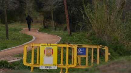 El Parque Natural de Collserola permanece cerrado para evitar la propagación de la peste porcina africana. | Europa Press