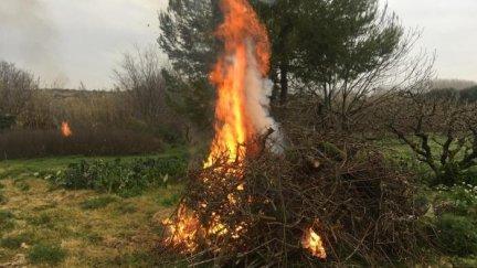 Quema de residuos vegetales / Gobierno de Aragón