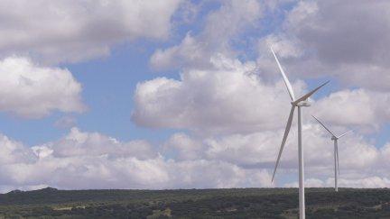 El año pasado se pusieron en marcha en España 44 nuevas instalaciones eólicas, 19 de ellas en Aragón. / Aragón TV