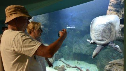 El Acuario de Zaragoza será gestionado por un grupo empresarial valenciano./ Europa Press. Fabián Simón