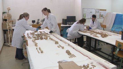 Los análisis antropológicos han aportado más detalles sobre los restos hallados en San Pedro el Viejo. / Aragón TV