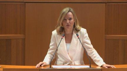 La portavoz del PSOE, Pilar Alegría, este miércoles, en las Cortes de Aragón. / Aragón TV