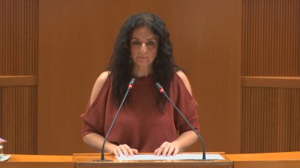 La diputada de Izquierda Unida, Marta Abengochea, este miércoles en las Cortes de Aragón. / Aragón TV
