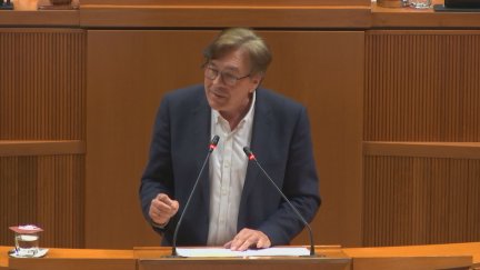 El diputado de Aragón-Teruel Existe, Tomás Guitarte, durante su intervención este miércoles. / Aragón TV