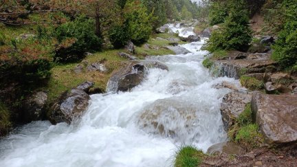 Deshielo este domingo en la Val de Tena en el Pirineo Oscense. /  Pedro Abad