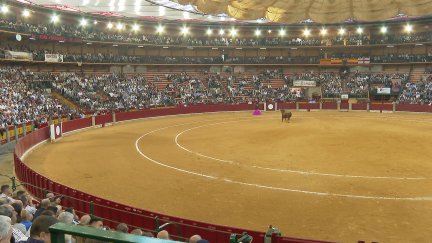La plaza de Toros de la Misericordia de Zaragoza. / Aragón TV