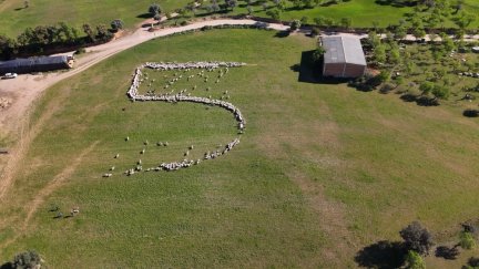'El campo es nuestro' cumple cinco años. / CARTV