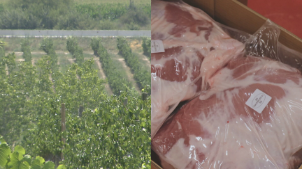 El vino y el porcino son dos de los exportadores principales de Aragón a China. / Aragón Tv