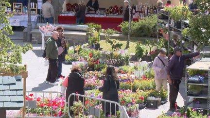 Numerosos visitantes recorren los puestos de flores, plantas y artesanía instalados durante la Feria de la Primavera/ Aragón TV