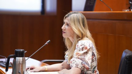 Mar Vaquero, durante su comparecencia, este martes, en la comisión. / Gobierno de Aragón